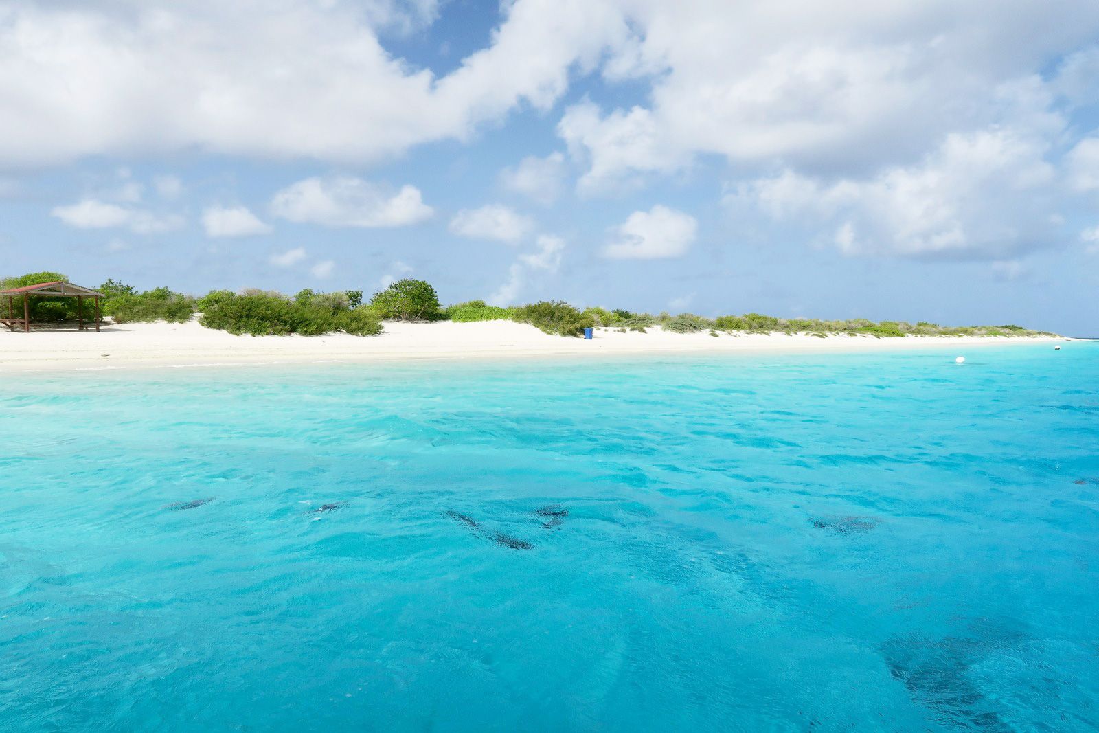 Bonaire, Sint Eustatius And Saba eSIM